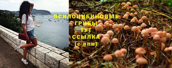 PSILOCYBIN Горнозаводск