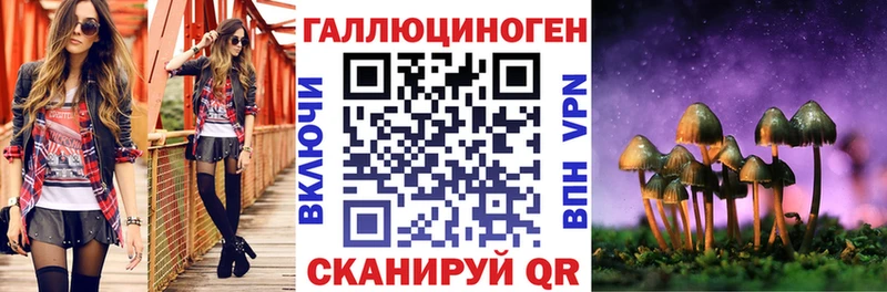 продажа наркотиков  площадка клад  Псилоцибиновые грибы ЛСД  Верхотурье 